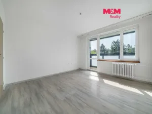 Prodej bytu 1+1, Příbram - Příbram VIII, Čechovská, 33 m2