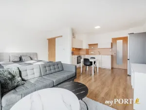 Pronájem bytu 1+kk, Plzeň, Hálkova, 41 m2