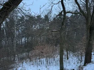 Prodej lesa, Kralupy nad Vltavou, 3462 m2