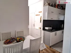 Prodej bytu 2+kk, Ústí nad Labem - Ústí nad Labem-centrum, Stará, 44 m2