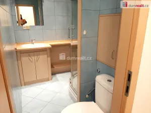Pronájem bytu 2+1, Ústí nad Labem - Severní Terasa, Werichova, 66 m2