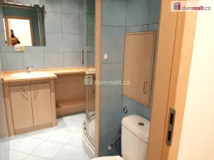 Pronájem bytu 2+1, Ústí nad Labem - Severní Terasa, Werichova, 66 m2