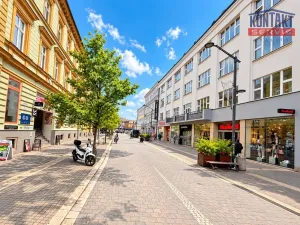 Pronájem obchodního prostoru, České Budějovice, Lannova tř., 212 m2