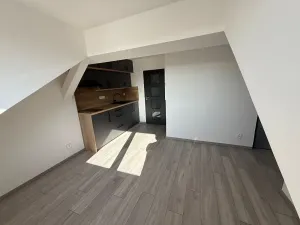 Prodej bytu 2+kk, Plzeň, Rokycanská, 51 m2