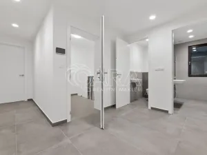 Pronájem bytu 4+kk, Praha - Hloubětín, Mandloňová, 174 m2