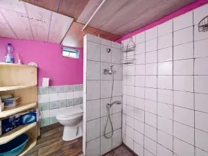 Prodej chaty, Bukovany, 60 m2