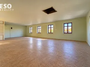 Prodej obchodního prostoru, Krnov, Krásné Loučky, 442 m2