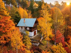 Prodej chaty, Pňovany, 80 m2