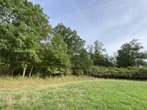 Prodej lesa, Ostřetín - Vysoká u Holic, 869 m2