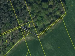 Prodej lesa, Ostřetín - Vysoká u Holic, 869 m2