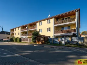 Prodej bytu 3+kk, Hrušovany nad Jevišovkou, 88 m2