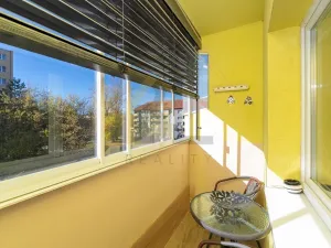 Prodej bytu 2+1, Hodonín, Družstevní čtvrť, 55 m2