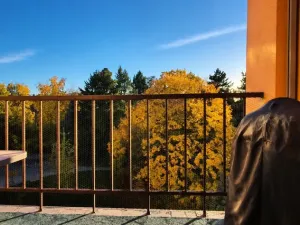 Pronájem bytu 2+kk, Hradec Králové, Gočárova třída, 90 m2
