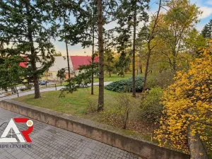 Pronájem bytu 1+kk, Brno, Halasovo náměstí, 24 m2