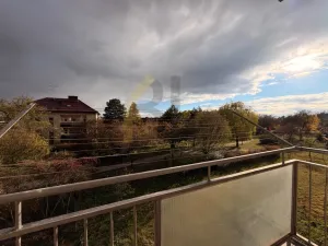 Pronájem bytu 2+1, Hodonín, Měšťanská, 75 m2