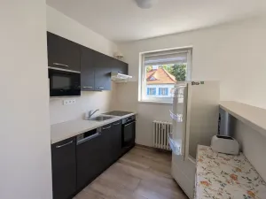 Pronájem bytu 2+1, Dolní Poustevna, Vilémovská, 58 m2