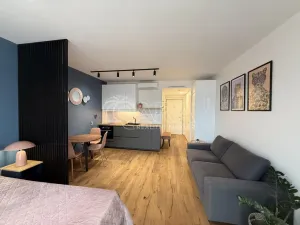 Pronájem bytu 1+kk, Praha - Karlín, Křižíkova, 33 m2