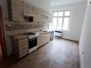 Pronájem bytu 1+1, Děčín - Děčín XI-Horní Žleb, Labské nábř., 49 m2