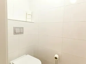 Pronájem bytu 1+kk, Praha - Vinohrady, Perucká, 25 m2