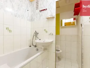 Prodej bytu 1+1, Litovel, Novosady, 30 m2