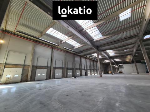 Pronájem skladu, Cheb, Podhradská, 11000 m2