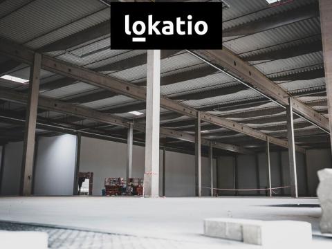 Pronájem výrobních prostor, Olomouc, 10242 m2