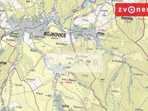 Prodej lesa, Bojkovice - Přečkovice, 140000 m2