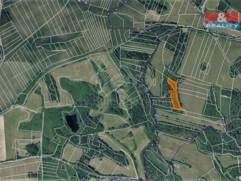 Prodej trvalého travního porostu, Chanovice - Defurovy Lažany, 4648 m2
