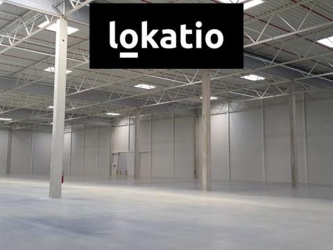 Pronájem skladu, Údlice, 40600 m2