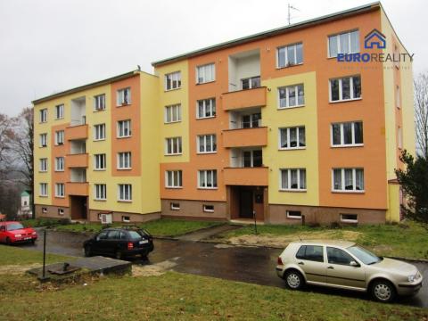 Prodej bytu 1+1, Plesná, Světlá, 38 m2