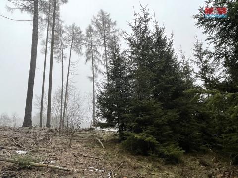 Prodej lesa, Ratibořské Hory - Vřesce, 30934 m2
