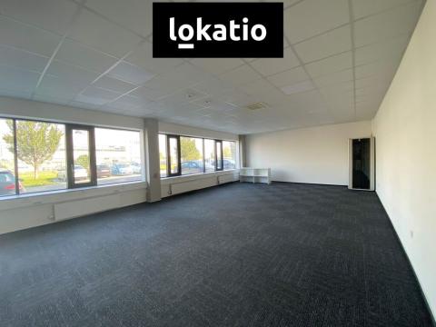 Pronájem skladu, Ostrava, 1589 m2