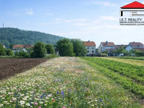 Prodej pozemku pro bydlení, Drásov, 2635 m2