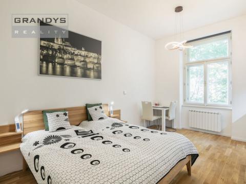 Pronájem bytu 1+kk, Praha - Vinohrady, Španělská, 24 m2