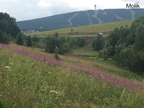 Prodej pozemku pro komerční výstavbu, Loučná pod Klínovcem - Háj, Loučná pod Klínovcem, 8803 m2