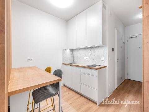 Pronájem bytu 1+kk, Praha - Veleslavín, Na Větrníku, 27 m2