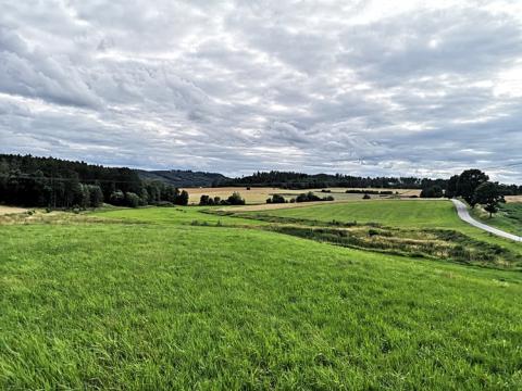 Prodej pozemku pro komerční výstavbu, Radomyšl, 10000 m2