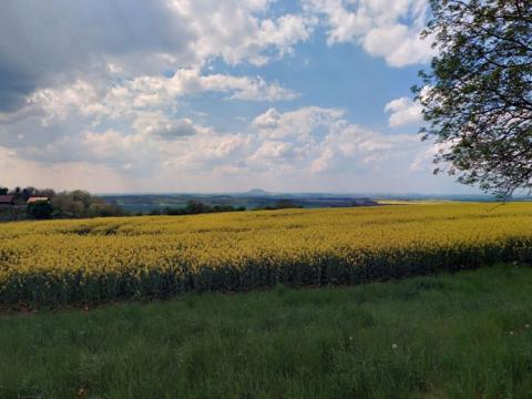 Prodej zemědělské půdy, Štětí, 6006 m2