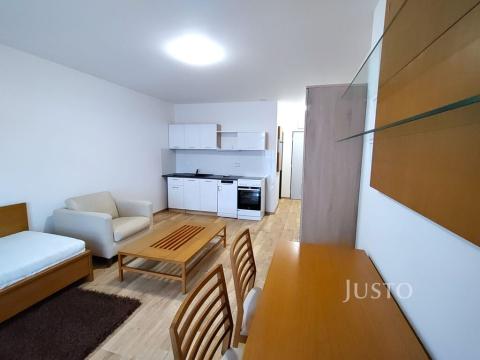 Pronájem bytu 1+kk, Čížová - Topělec, 23 m2