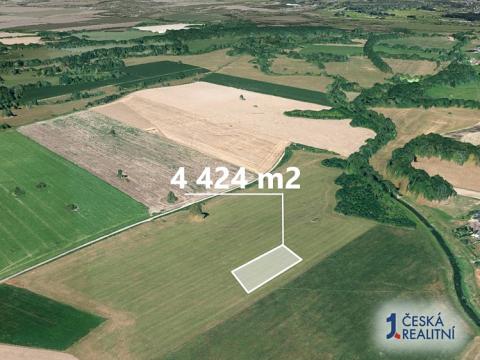 Prodej zemědělské půdy, Stará Ves nad Ondřejnicí, 4424 m2