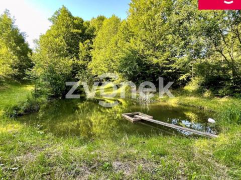 Prodej rybníku, Prlov, 7474 m2