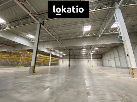 Pronájem skladu, Modřice, 16895 m2