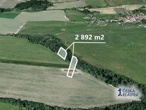 Prodej zemědělské půdy, Radenín, 2892 m2