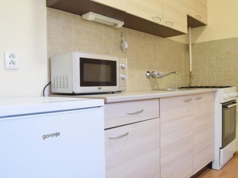 Pronájem bytu 1+1, Ostrava - Moravská Ostrava, Garážní, 34 m2