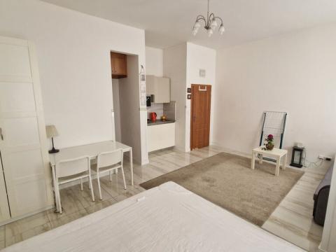 Pronájem bytu 1+kk, Praha - Vinohrady, Uruguayská, 30 m2