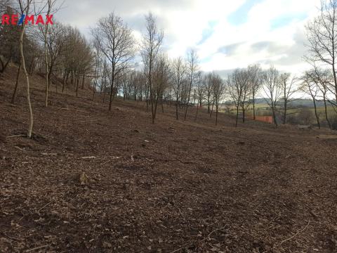 Prodej pozemku pro bydlení, Votice, Fibichova, 8870 m2
