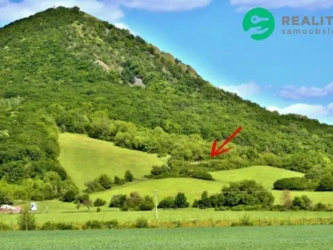 Prodej zahrady, Velemín - Oparno, 1600 m2