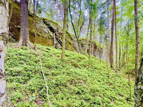 Prodej pozemku pro bydlení, Česká Lípa - Okřešice, 3540 m2