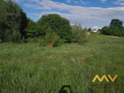 Prodej trvalého travního porostu, Dvůr Králové nad Labem, Sylvárov, 5858 m2