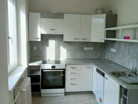 Pronájem bytu 2+kk, Plzeň - Východní Předměstí, Táborská, 55 m2